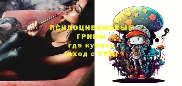 прущий лед Алексин