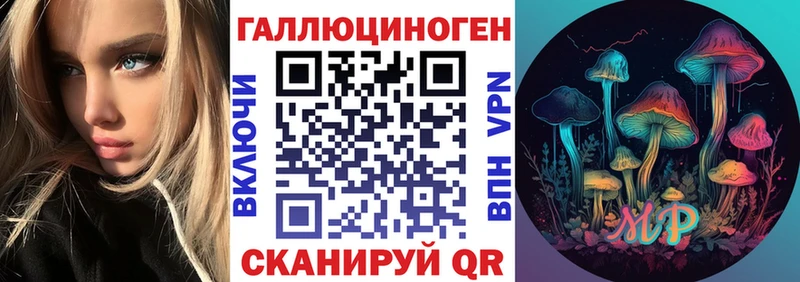 Галлюциногенные грибы Psilocybe  Купить закладки  Тюкалинск 